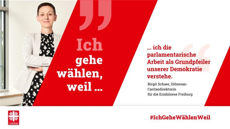 #IchGeheWählenWeil