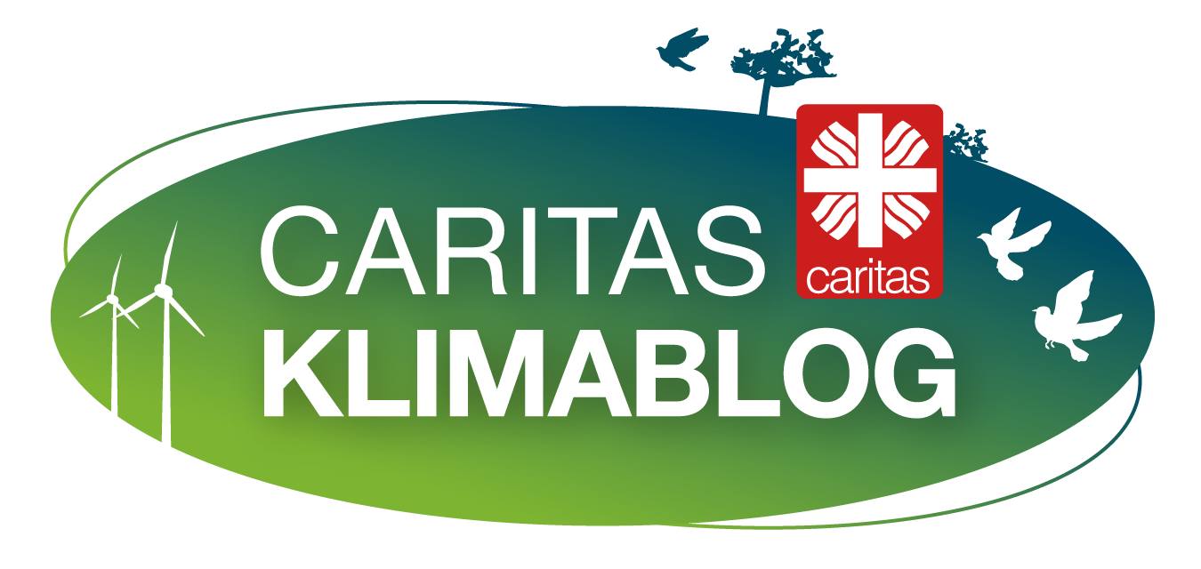 Banner zum Caritas Klimablog