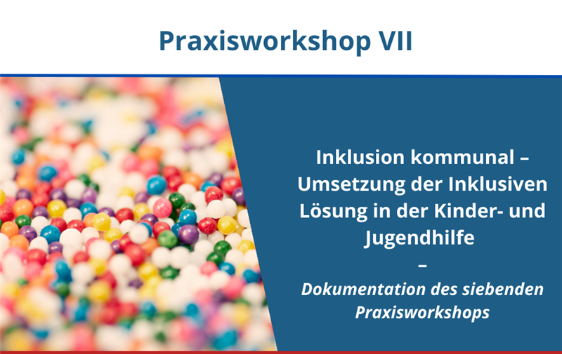 Praxisworkshop VII