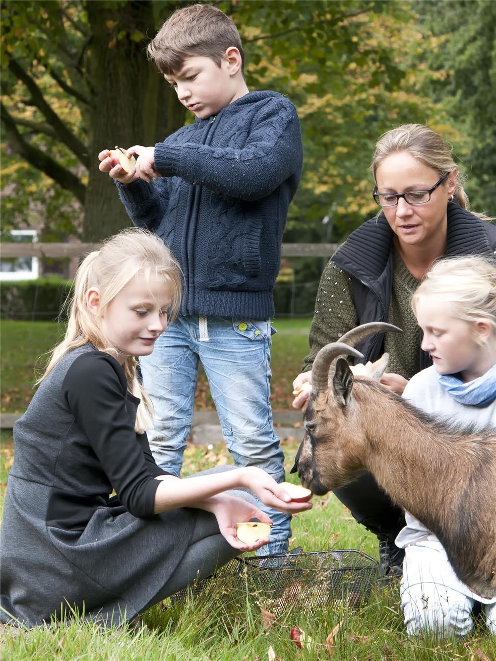 drei Kinder und eine Erzieherin füttern die Ziege mit Äpfeln (Petra Lamers)