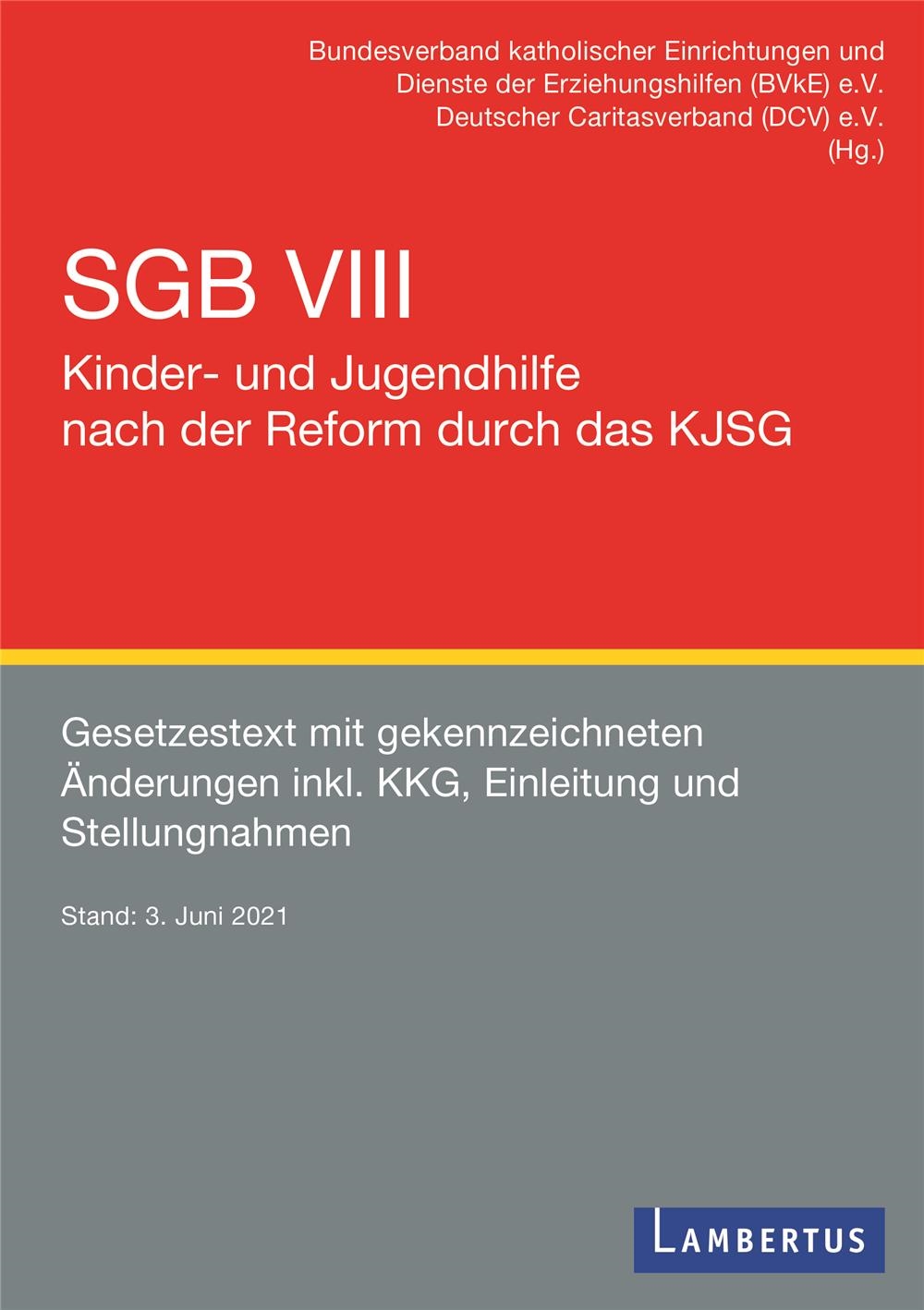 SGB_VIII