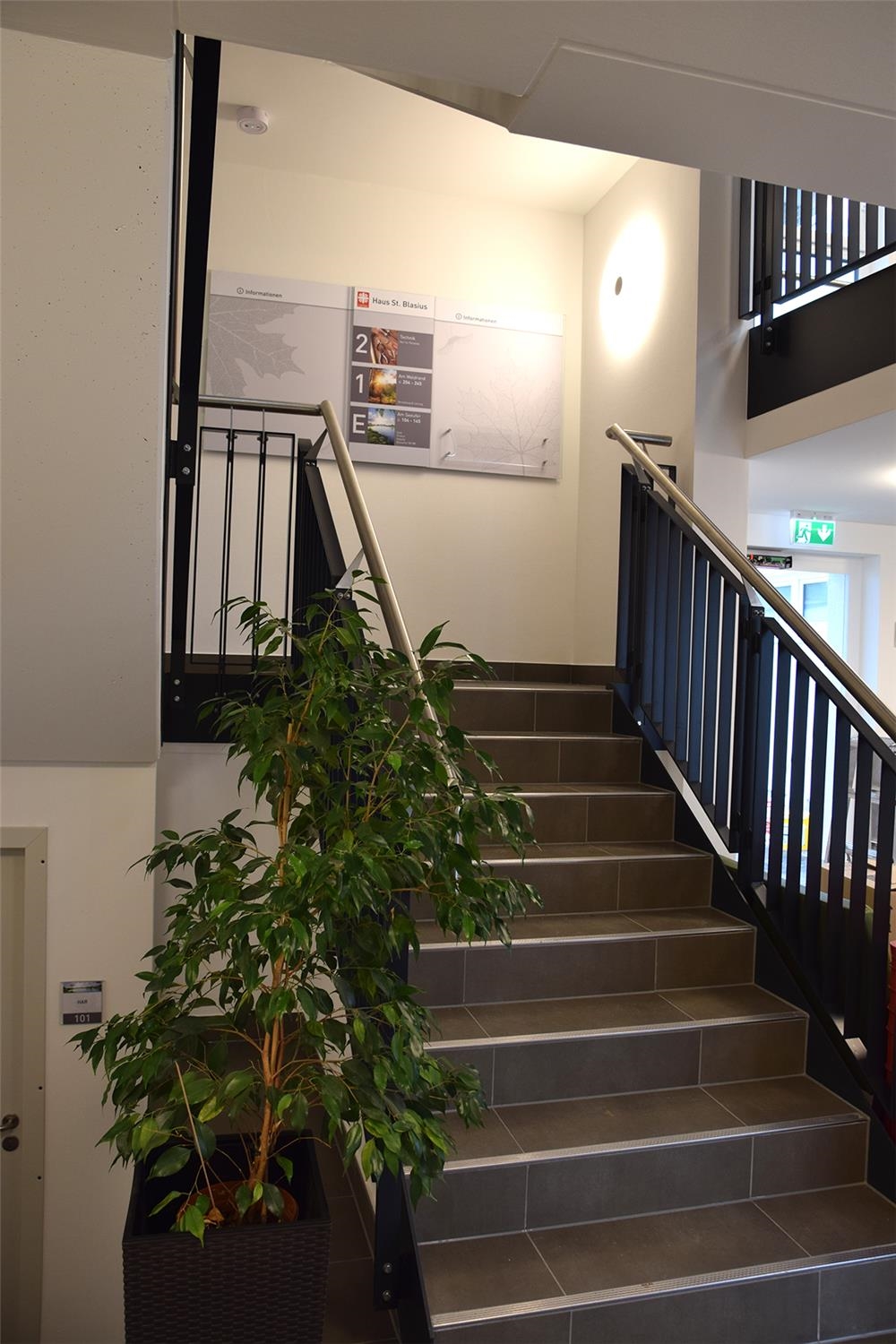 Treppenaufgang mit Pflanze (Foto: V. Klum)