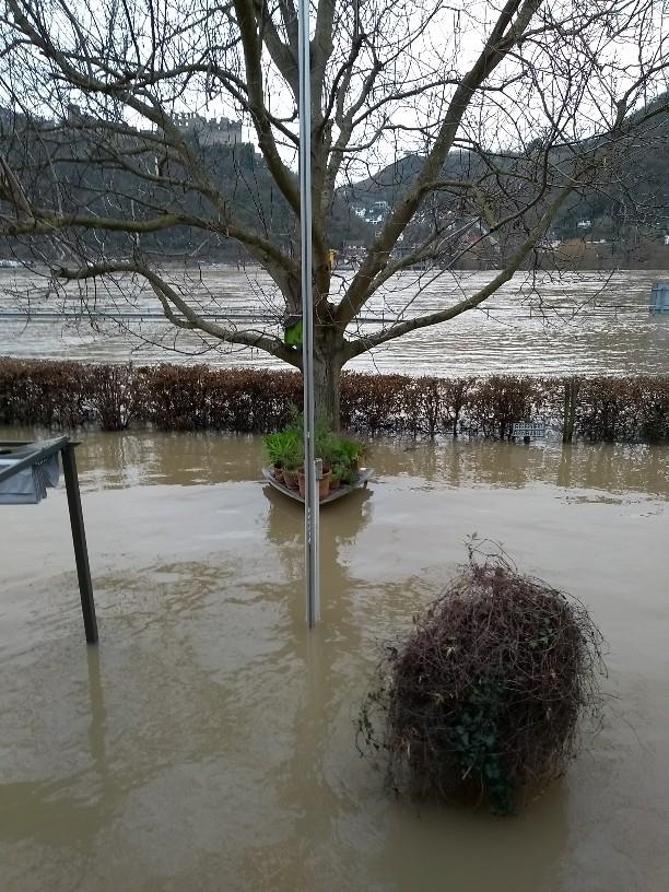 Hochwasser am Edith-Stein-Haus 2018 (20) 