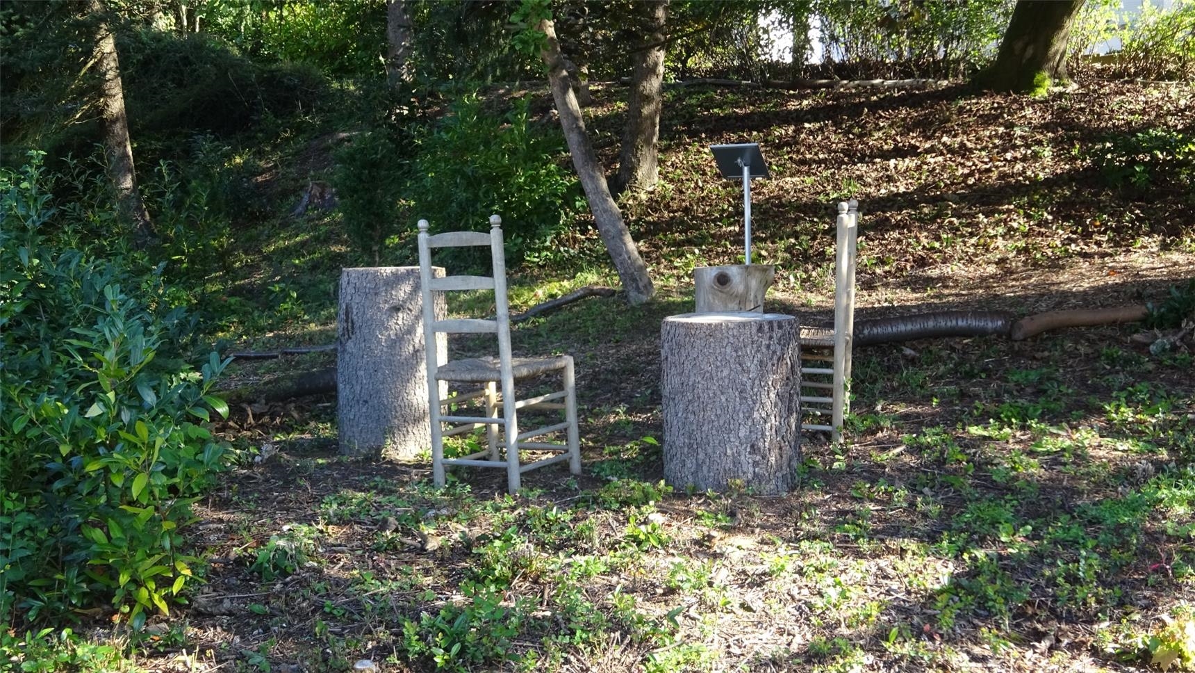 zwei Stühle und zwei Baumstümpfe draußen (Alfons Goris)