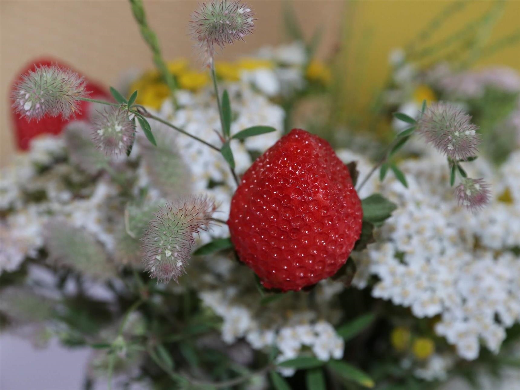 Erdbeerfest 