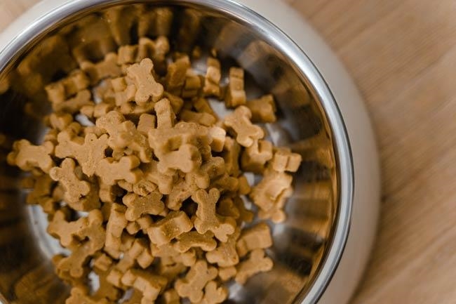 Schüssel voller Futter für Hund und Katze (Foto: Pexels.com)