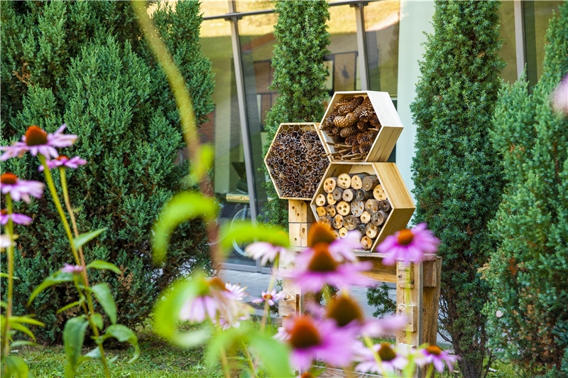 In einem Garten umgeben von Hecken, steht ein Bienenhotel.