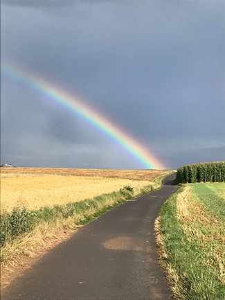 Regenbogen 23 