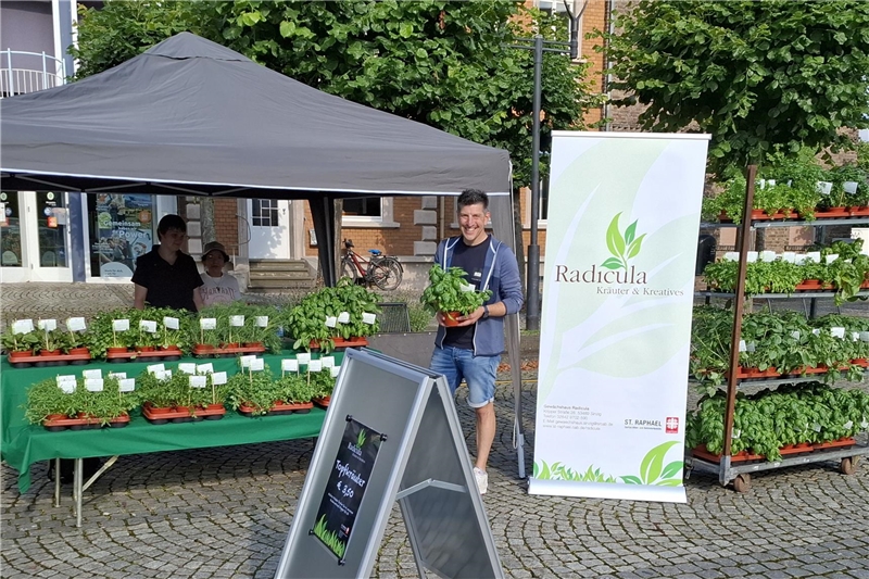 Foto vom Radicula-Stand auf dem Sinziger Wochenmarkt