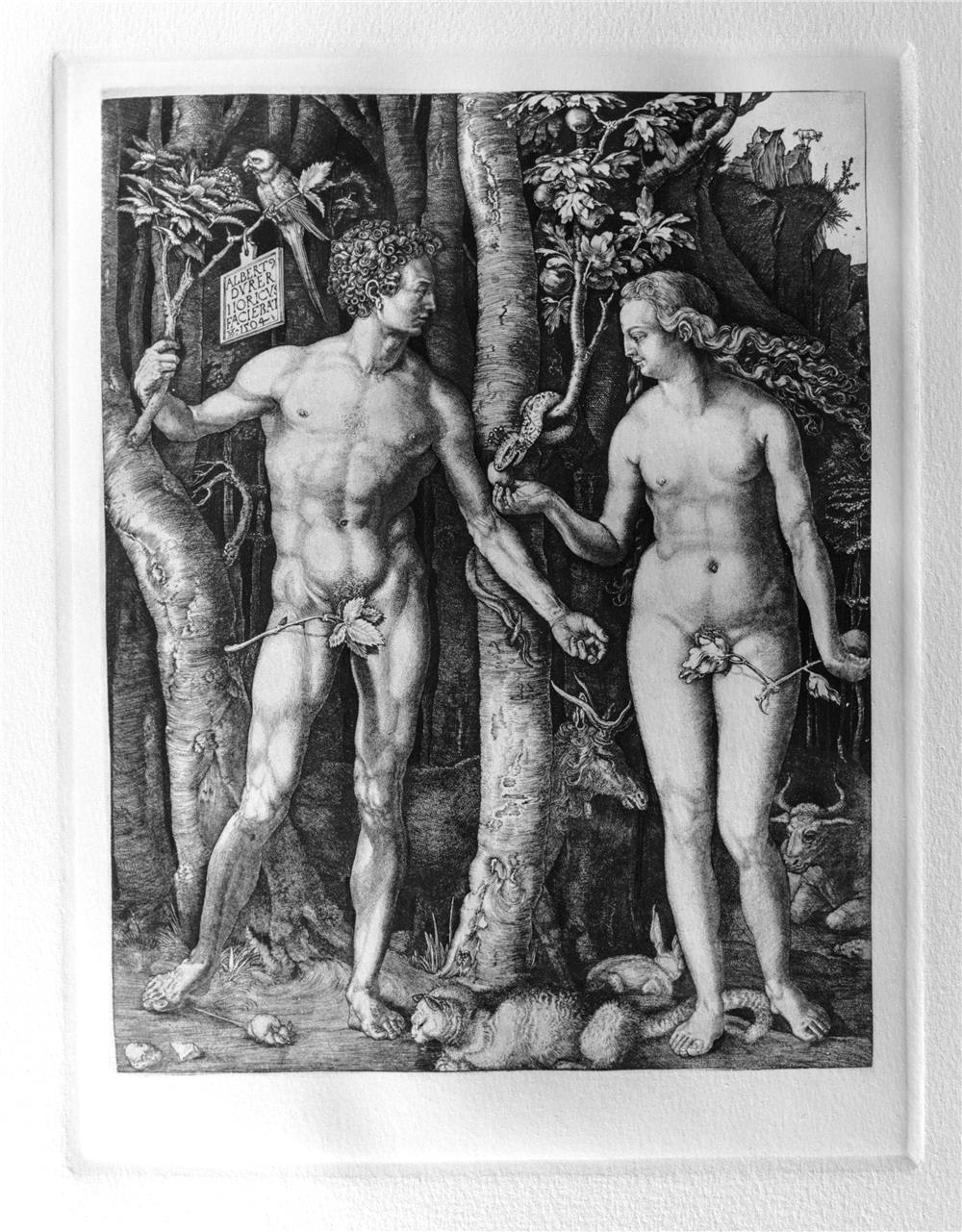 125 (Albrecht Dürer/Amand Durand)
