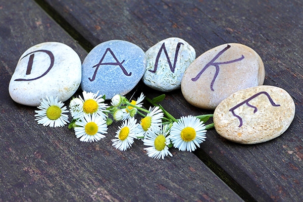 Das Wort Danke auf 5 verschiedene Kieselsteine verteilt, davor Gänseblümchen (Bild von Jasmin777 auf Pixabay)
