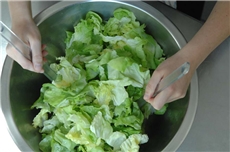 grüner Salat in einer Schüssel / KNA / Oppitz