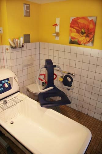 Eine absenkbare Badewanne, eine Toilette und ein Spezialstuhl vor einer halb gekachelten Wand mit einem Blumenbild 