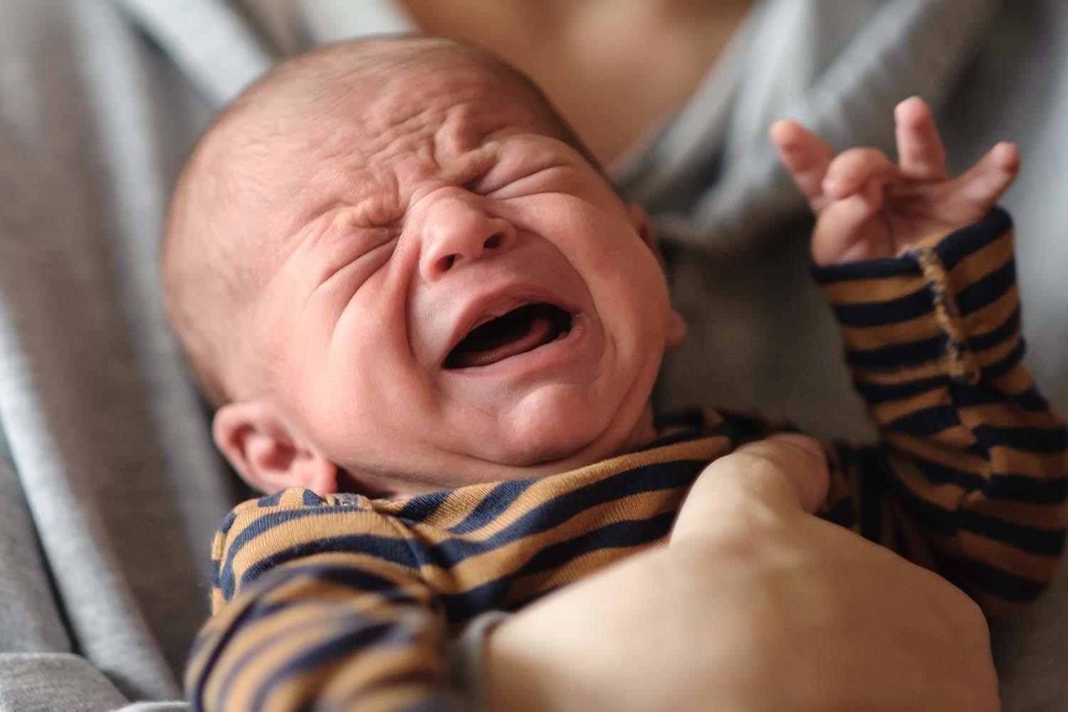 Süßes kleines Neugeborenes ist hungrig und verärgert und weint stark und lädt seine Eltern ein, es zu füttern und ihr Problem zu lösen.