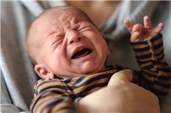 Süßes kleines Neugeborenes ist hungrig und verärgert und weint stark und lädt seine Eltern ein, es zu füttern und ihr Problem zu lösen. / guruXOOX/iStock.com