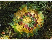 Blätter-Mandala