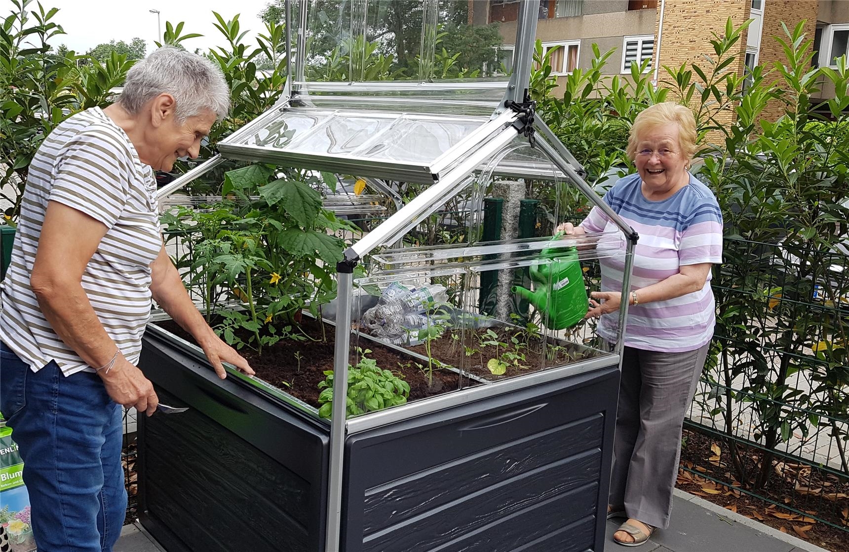 2 Jülicher Seniorinnen geißen Pflanzen in einem Hochbeet mit Glasaufsatz. (Manuela Thomae)