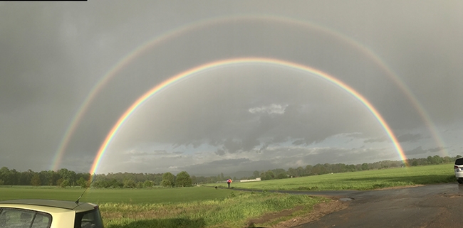 Regenbogen 17 