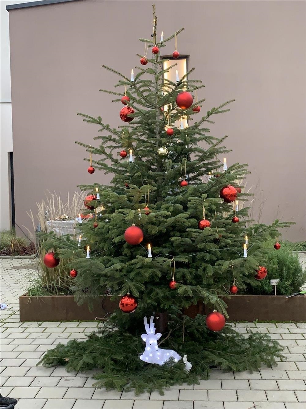 Weihnachtsbaumschmücken (Caritasverband für den Landkreis Emmendingen e.V.)
