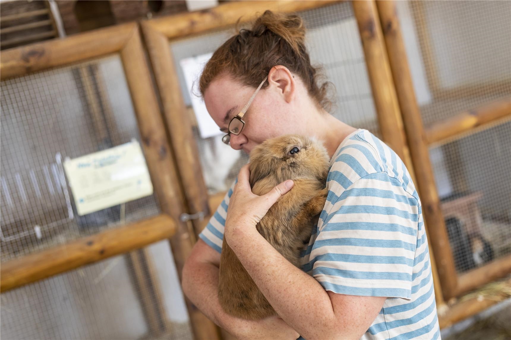 EIne Frau trägt ein Kaninchen (Thomas Wagner)