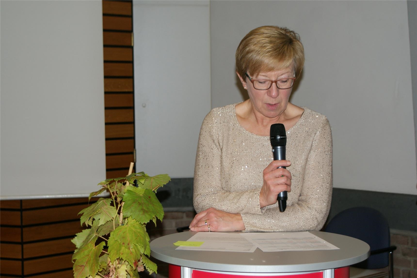Laudatio Verleihung Im Zeichen des Weinstocks (© CKD-Bundesverband)