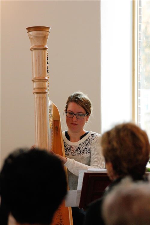 Die Musikerin Angi Schlögl-Eggert begleitete an ihrer Harfe den Gesang im Gottesdienst. (Bernhard Gattner)
