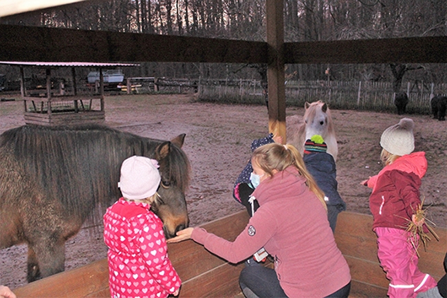 Kinder mit Begleitung füttern Pony (Caritasverband Darmstadt e. V.)