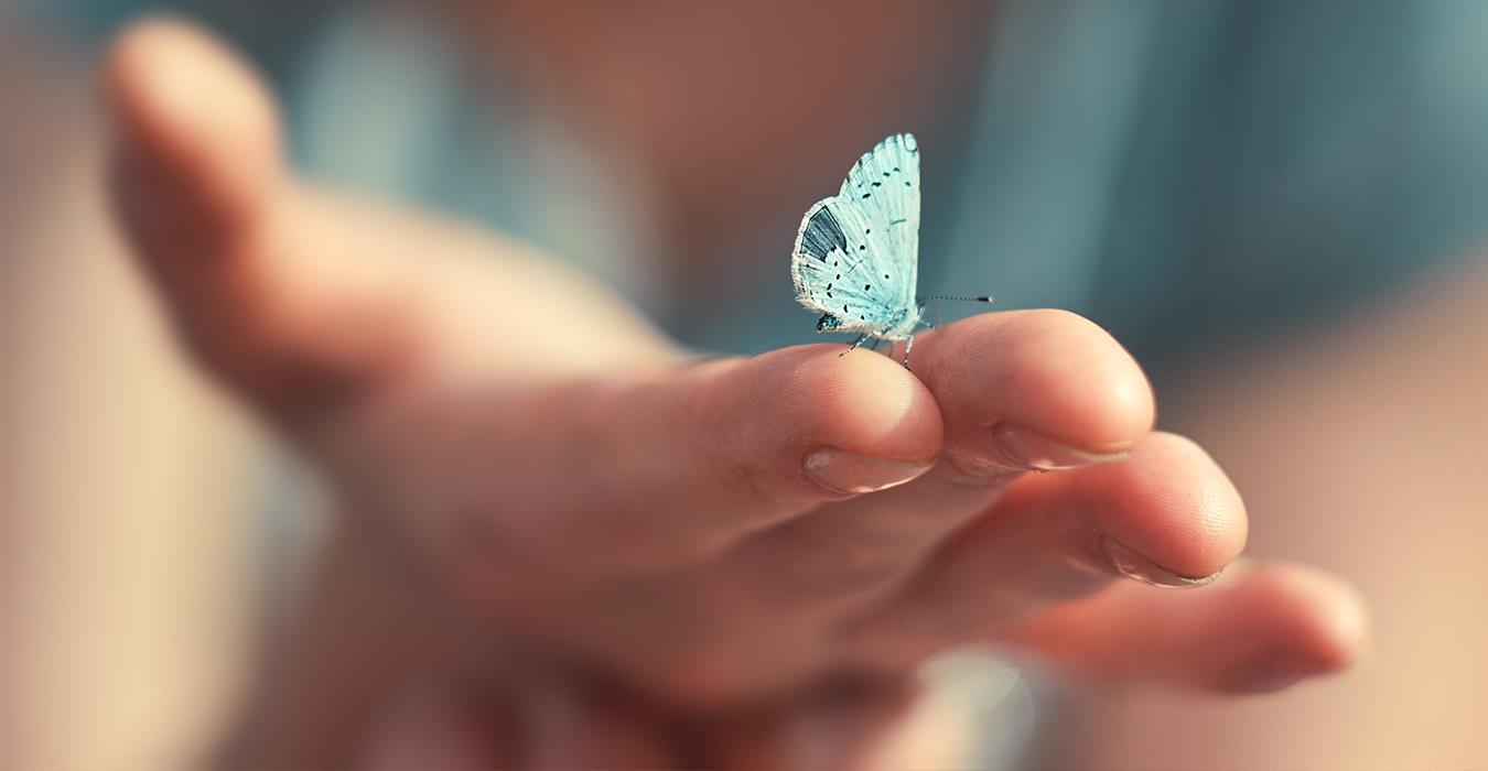 Frauenhand mit Schmetterling