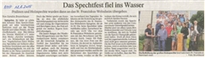 Foto zum PNP-Artikel "Spechtfest fiel ins Wasser" / alle Rechte Passauer Neuen Presse/Sandra Brunnbauer