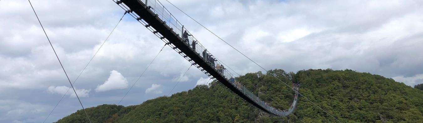 Personen auf einer Hängebrücke hoch über den Bäumen
