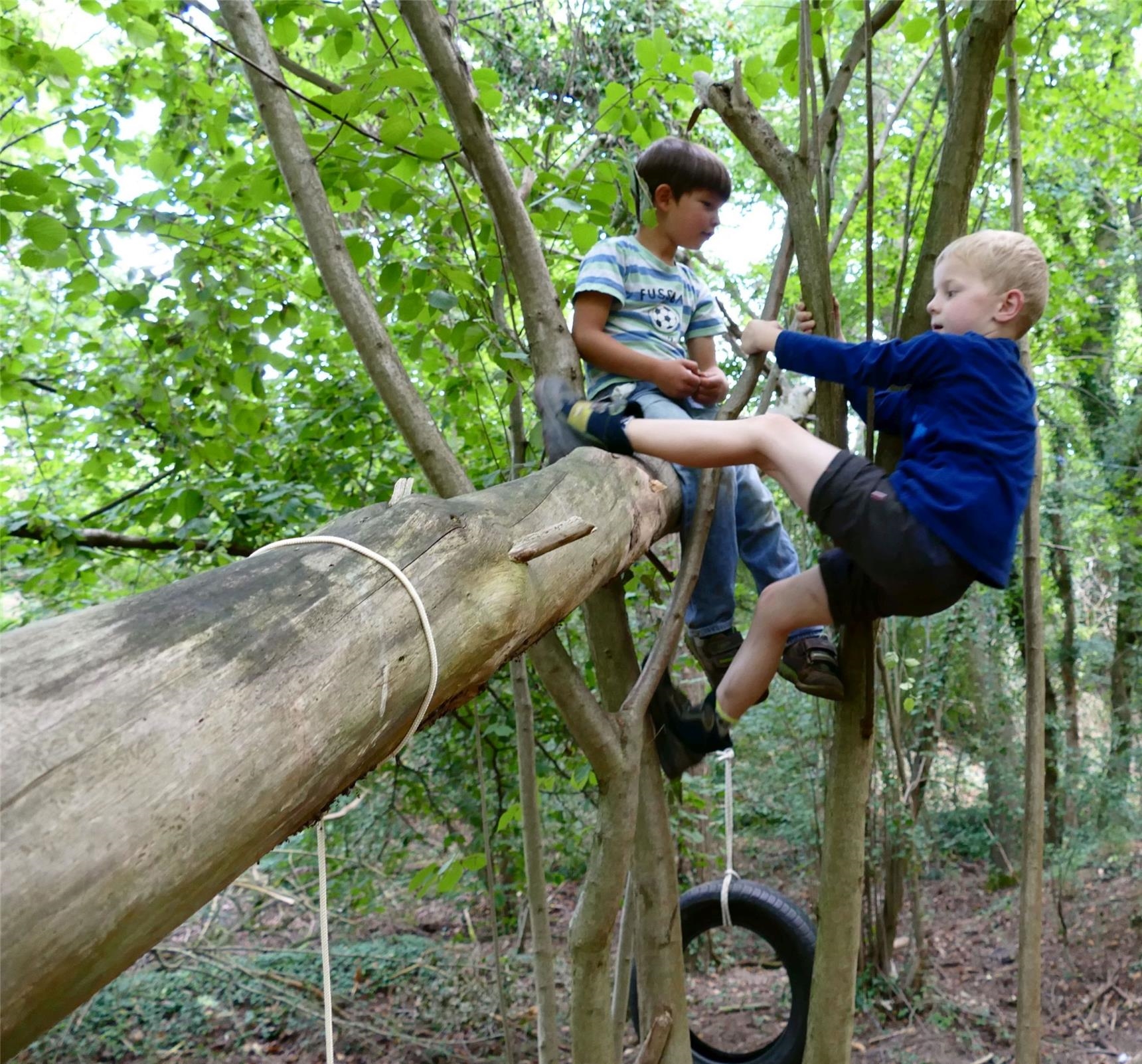 Zwei Jungen klettern auf einem Baum (Foto: Matthias Kolk)