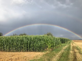 Regenbogen 22 