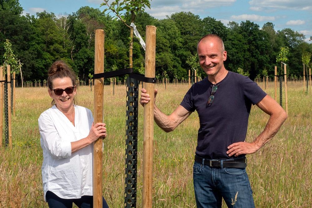 Zwei Personen an einem Baum