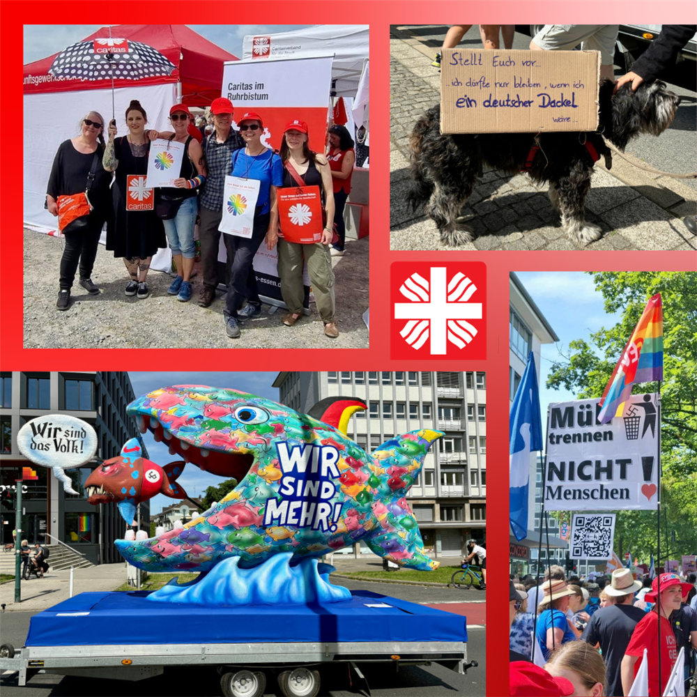 Ein Collage der Demonstration gegen den AFD-Parteitag 